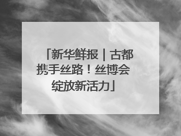 新华鲜报｜古都携手丝路！丝博会绽放新活力