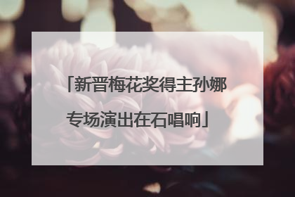 新晋梅花奖得主孙娜专场演出在石唱响