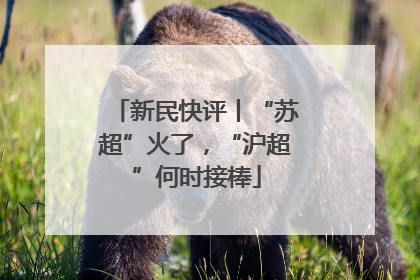 新民快评丨“苏超”火了，“沪超”何时接棒