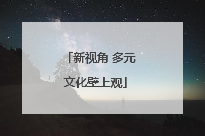 新视角 多元文化壁上观