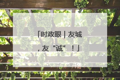 时政眼｜友城，友“诚”！
