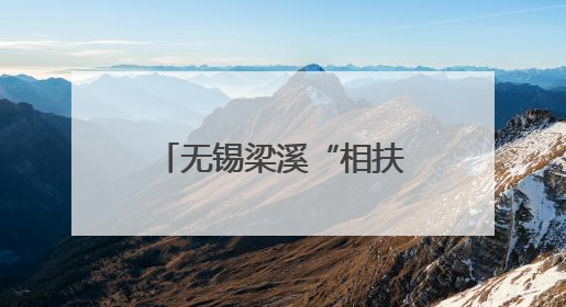 无锡梁溪“相扶溪阳”活动开启科技助老新篇章