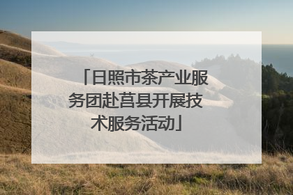 日照市茶产业服务团赴莒县开展技术服务活动