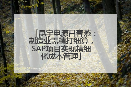 昆宇电源吕春燕：制造业需精打细算，SAP项目实现精细化成本管理