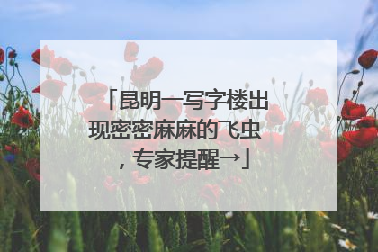 昆明一写字楼出现密密麻麻的飞虫，专家提醒→