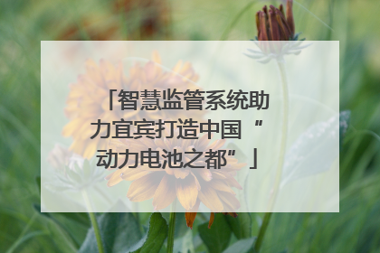 智慧监管系统助力宜宾打造中国“动力电池之都”