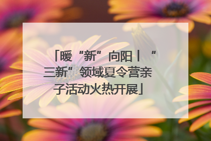 暖“新”向阳丨“三新”领域夏令营亲子活动火热开展