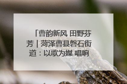 曹韵新风 田野芬芳｜菏泽曹县磐石街道：以歌为媒 唱响乡土“新歌声”