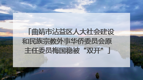 曲靖市沾益区人大社会建设和民族宗教外事华侨委员会原主任委员梅国稳被“双开”