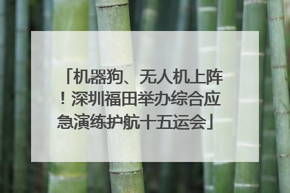 机器狗、无人机上阵！深圳福田举办综合应急演练护航十五运会