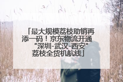 最大规模荔枝助销再添一码！京东物流开通“深圳-武汉-西安” 荔枝全货机航线