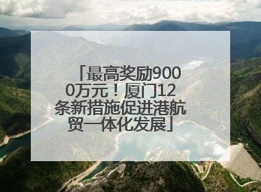 最高奖励9000万元！厦门12条新措施促进港航贸一体化发展