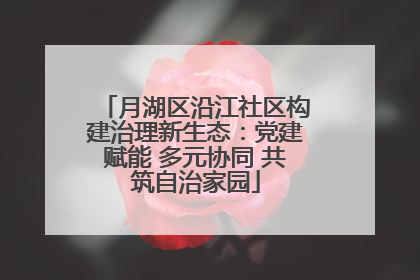 月湖区沿江社区构建治理新生态：党建赋能 多元协同 共筑自治家园
