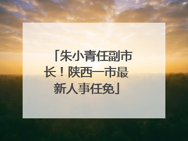 朱小青任副市长！陕西一市最新人事任免
