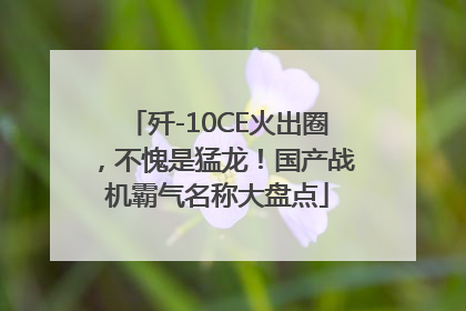 歼-10CE火出圈，不愧是猛龙！国产战机霸气名称大盘点