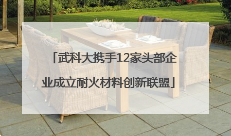 武科大携手12家头部企业成立耐火材料创新联盟