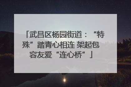 武昌区杨园街道：“特殊”踏青心相连 架起包容友爱“连心桥”