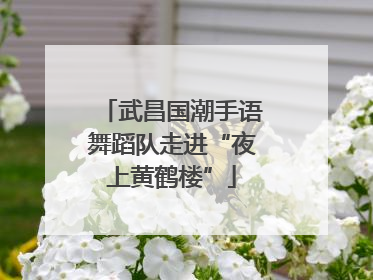 武昌国潮手语舞蹈队走进“夜上黄鹤楼”