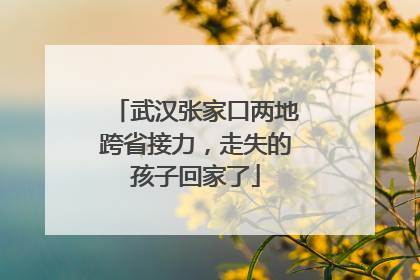 武汉张家口两地跨省接力，走失的孩子回家了