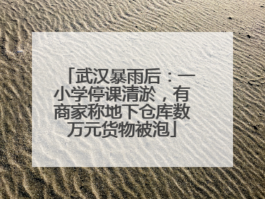 武汉暴雨后：一小学停课清淤，有商家称地下仓库数万元货物被泡