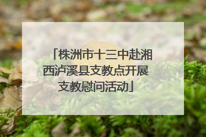 株洲市十三中赴湘西泸溪县支教点开展支教慰问活动