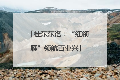 桂东东洛：“红领雁”领航百业兴