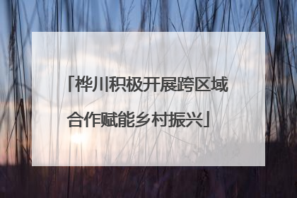 桦川积极开展跨区域合作赋能乡村振兴