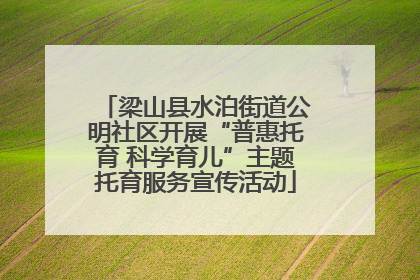 梁山县水泊街道公明社区开展“普惠托育 科学育儿”主题托育服务宣传活动