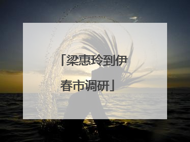 梁惠玲到伊春市调研