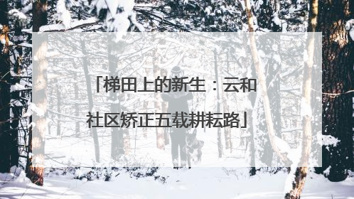 梯田上的新生：云和社区矫正五载耕耘路