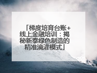 梯度培育台账+线上金融培训：揭秘新泰绿色制造的精准滴灌模式