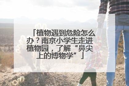 植物遇到危险怎么办？南京小学生走进植物园，了解“鼻尖上的博物学”