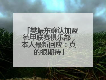 樊振东确认加盟德甲联赛俱乐部，本人最新回应：真的很期待
