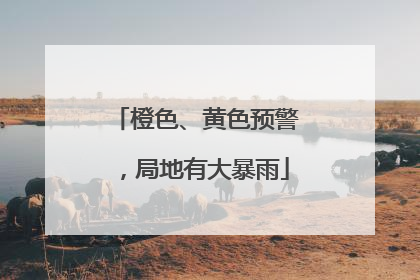 橙色、黄色预警，局地有大暴雨