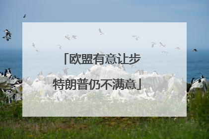 欧盟有意让步 特朗普仍不满意