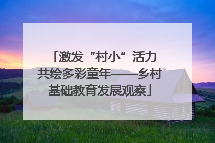 激发“村小”活力 共绘多彩童年——乡村基础教育发展观察