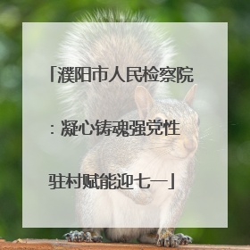 濮阳市人民检察院：凝心铸魂强党性 驻村赋能迎七一