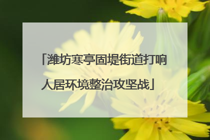 潍坊寒亭固堤街道打响人居环境整治攻坚战