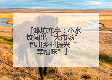 潍坊寒亭：小水饺闯出“大市场” 包出乡村振兴“幸福味”