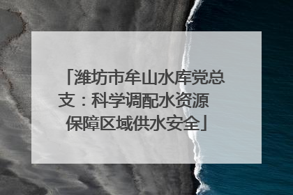 潍坊市牟山水库党总支：科学调配水资源 保障区域供水安全