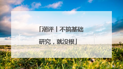 潮评丨不搞基础研究，就没根