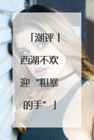 潮评丨西湖不欢迎“粗暴的手”