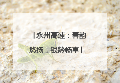 永州高速：春韵悠扬，银龄畅享