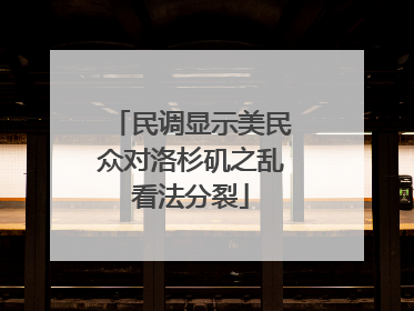 民调显示美民众对洛杉矶之乱看法分裂