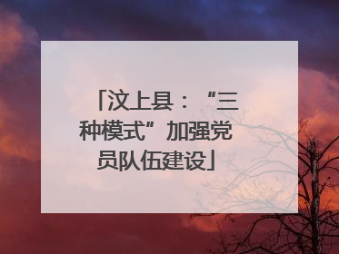 汶上县：“三种模式”加强党员队伍建设