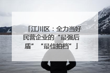 江川区：全力当好民营企业的“最强后盾”“最佳拍档”