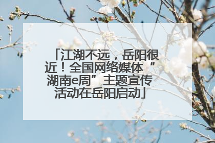 江湖不远，岳阳很近！全国网络媒体“湖南e周”主题宣传活动在岳阳启动