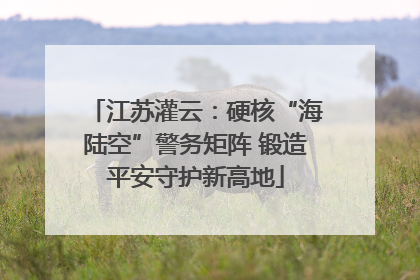 江苏灌云：硬核“海陆空”警务矩阵 锻造平安守护新高地