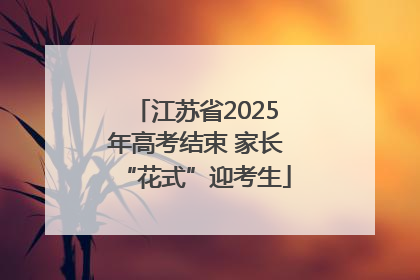 江苏省2025年高考结束 家长“花式”迎考生