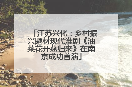 江苏兴化：乡村振兴题材现代淮剧《油菜花开燕归来》在南京成功首演